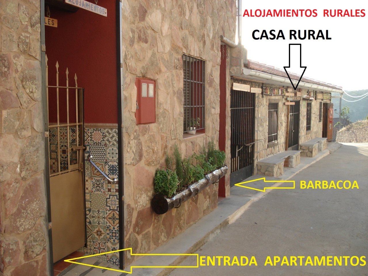 Imagen 6