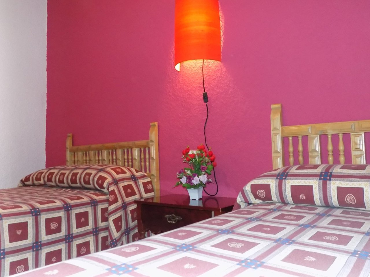 Imagen 7