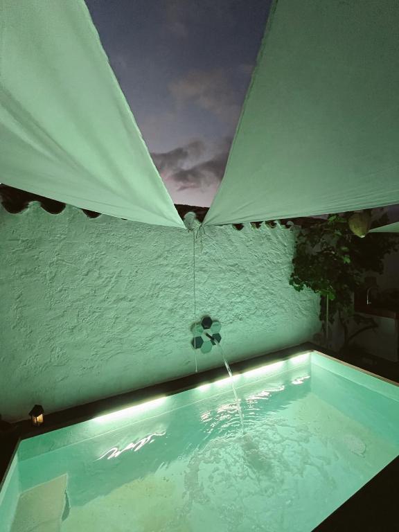 Imagen Adicional