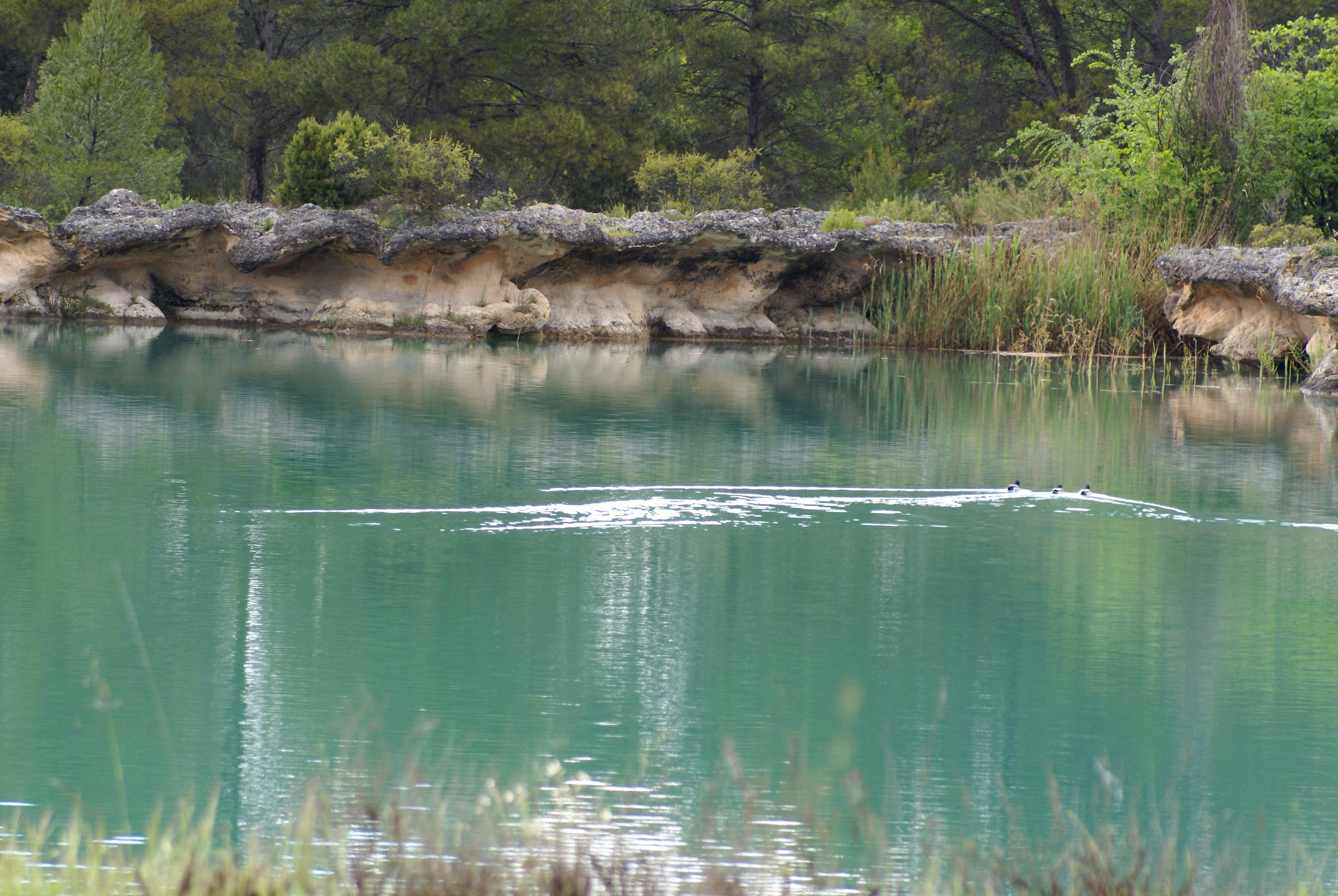 Hotel Rural Albamanjon