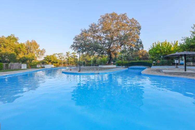 Maruxos Arroyo de la Plata