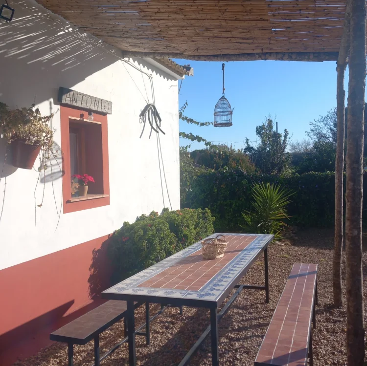 Camino de los Molinos