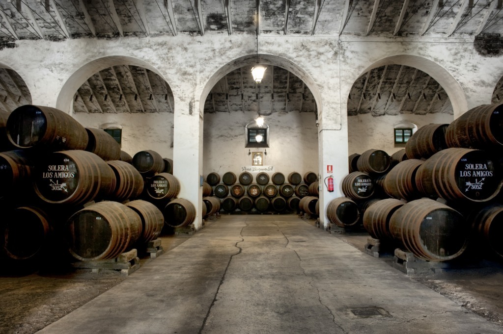  Visita Los Amigos con Cata de 4 vinos 